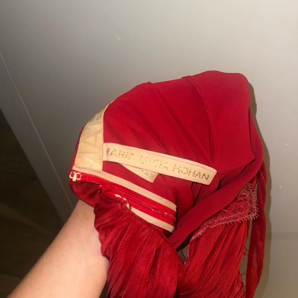 Maria Lucia Hohan 
Jolie Gown in Salsa size 4
Red Strapless Dress - Picture 6 of 16